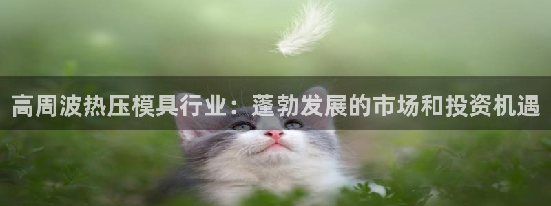 易倍易倍单词官方网站：高周波热压模具行业：蓬勃发展的市场