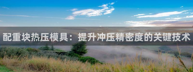 北京易倍思教育怎么样：配重块热压模具：提升冲压精密度的关