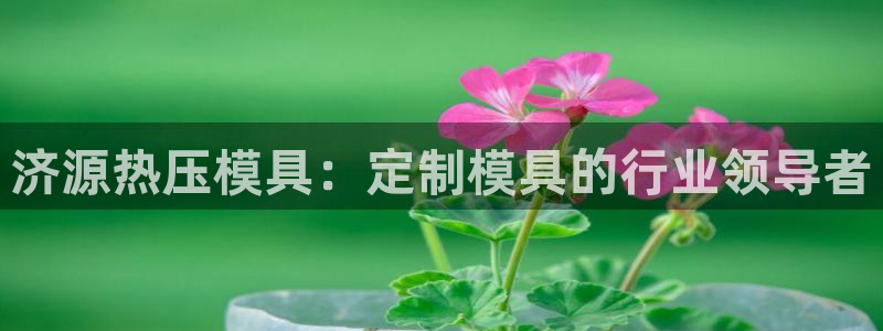 易倍康简历：济源热压模具：定制模具的行业领导者