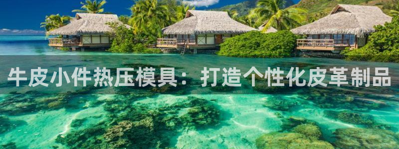 emc易倍官网：牛皮小件热压模具：打造个性化皮革制品