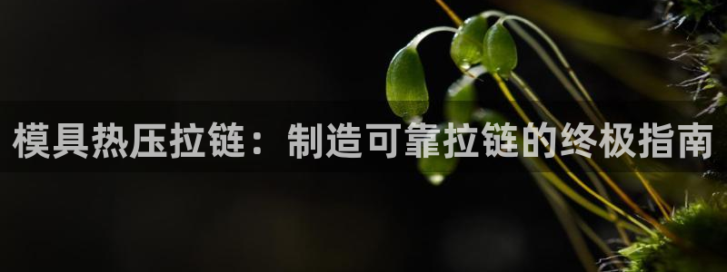 南京易倍易电子科技有限公司：模具热压拉链：制造可靠拉链的