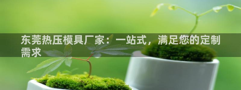 北京易倍思教育怎么样：东莞热压模具厂家：一站式，满足您的