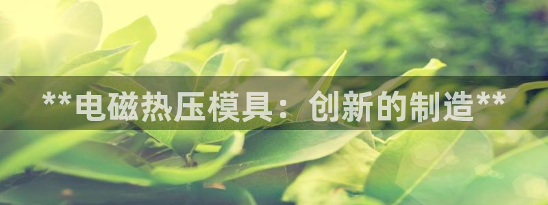 emc易倍官网app：**电磁热压模具：创新的制造**