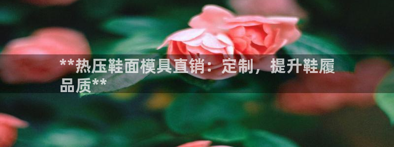 易倍单词登录平台：**热压鞋面模具直销：定制，提升鞋履
