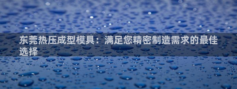 易倍申价格是多少：东莞热压成型模具：满足您精密制造需求的