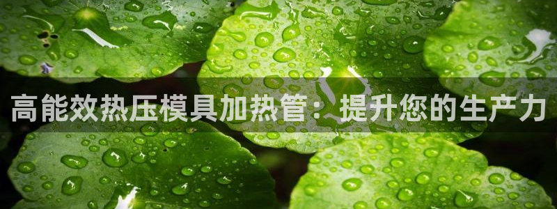 emc测试频率范围：高能效热压模具加热管：提升您的生产力