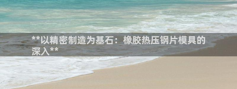 易倍单词官网下载：**以精密制造为基石：橡胶热压钢片模具