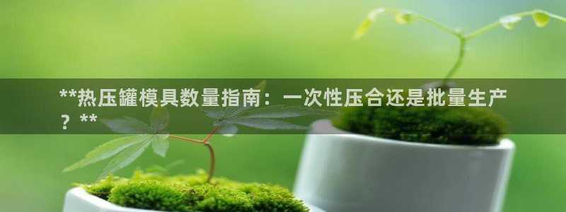 emc服务器是干啥的：**热压罐模具数量指南：一次性压合