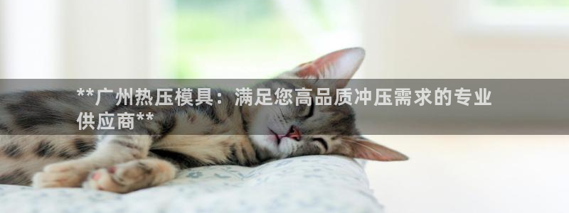 易倍康简历：**广州热压模具：满足您高品质冲压需求的专业