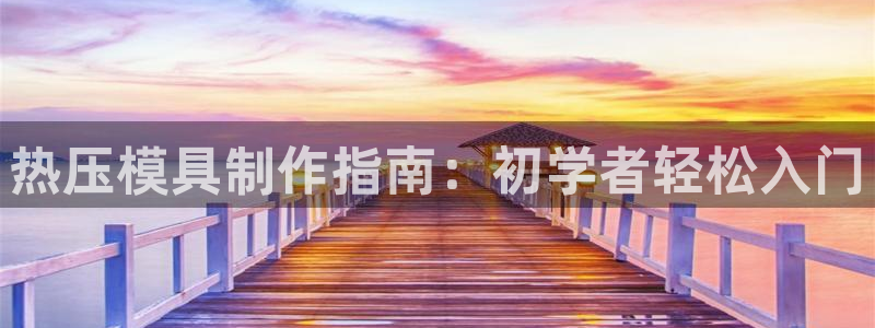 易倍申片的功效与作用：热压模具制作指南：初学者轻松入门