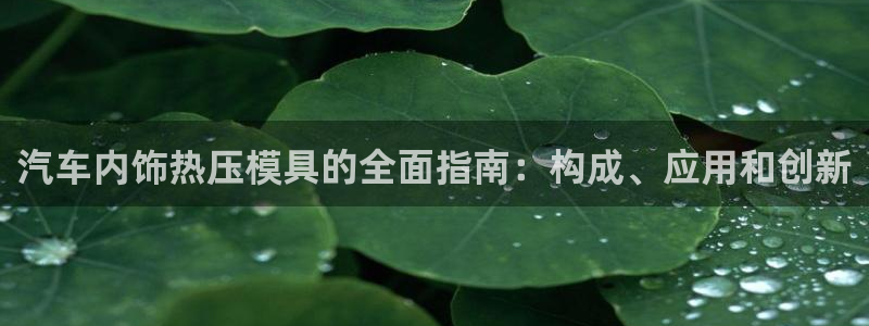 易倍申生产厂家：汽车内饰热压模具的全面指南：构成、应用和