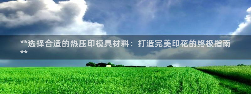 易倍申有用吗：**选择合适的热压印模具材料：打造完美印花