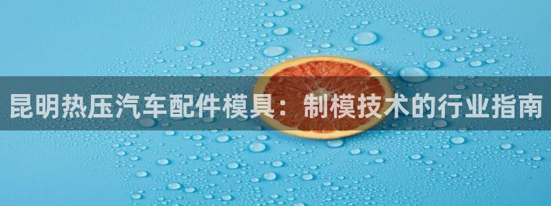 易倍单词app官网：昆明热压汽车配件模具：制模技术的行业
