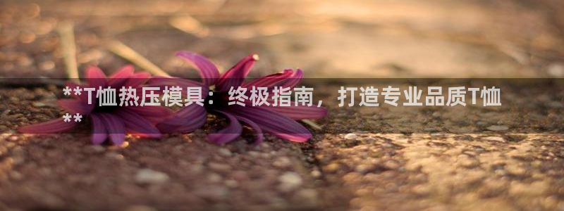 易倍申上市时间：**T恤热压模具：终极指南，打造专业品质