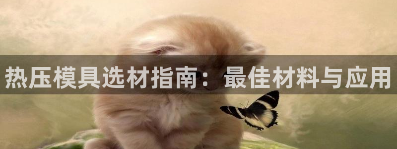 易倍单词app官网：热压模具选材指南：最佳材料与应用
