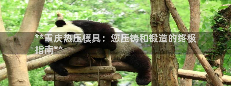 emc mcu：**重庆热压模具：您压铸和锻造的终极
指