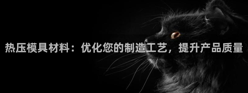 易倍纤奶昔减肥效果怎么样：热压模具材料：优化您的制造工艺