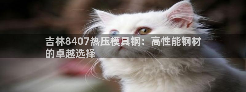 杭州易倍达：吉林8407热压模具钢：高性能钢材
的卓越选