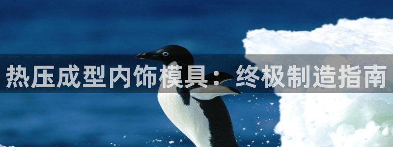 易倍申效果怎么样：热压成型内饰模具：终极制造指南