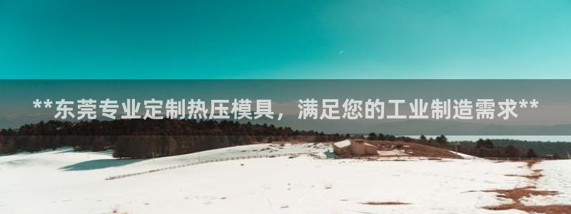 上海易倍投资有限公司：**东莞专业定制热压模具，满足您的