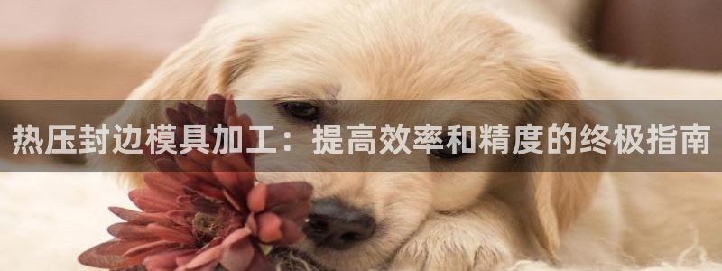 emc易倍官方：热压封边模具加工：提高效率和精度的终极指
