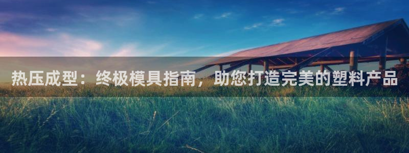 易倍纤代餐奶昔怎么样：热压成型：终极模具指南，助您打造完