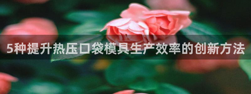 emc易倍网页版：5种提升热压口袋模具生产效率的创新方法