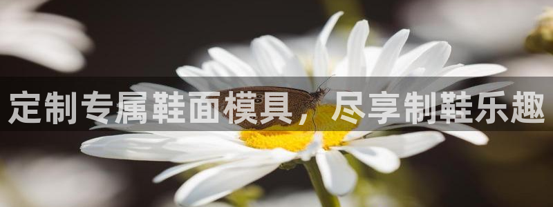 emc易倍官网app：定制专属鞋面模具，尽享制鞋乐趣