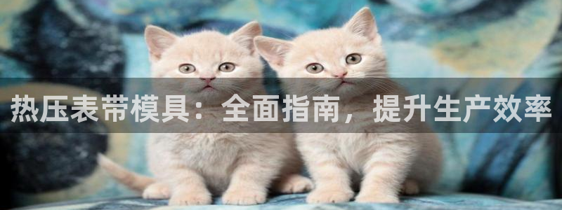 易倍康简历：热压表带模具：全面指南，提升生产效率