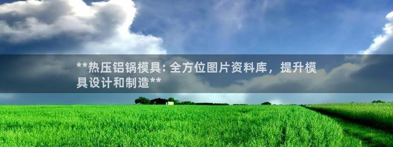 易倍申医保报销：**热压铝锅模具: 全方位图片资料库，提