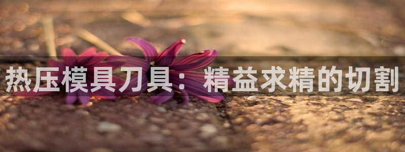 杭州易倍达：热压模具刀具：精益求精的切割