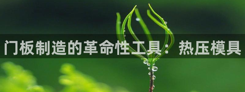 易倍emc安全吗：门板制造的革命性工具：热压模具