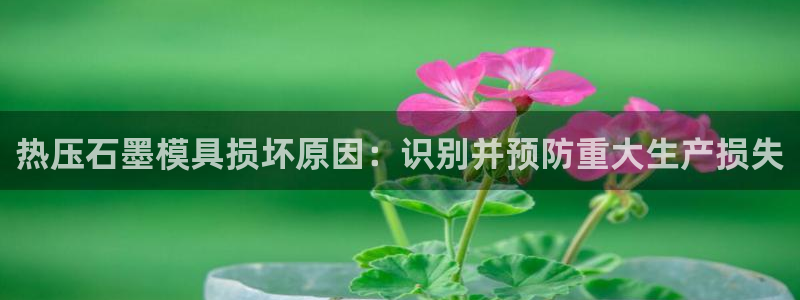 易倍单词官方网站：热压石墨模具损坏原因：识别并预防重大生