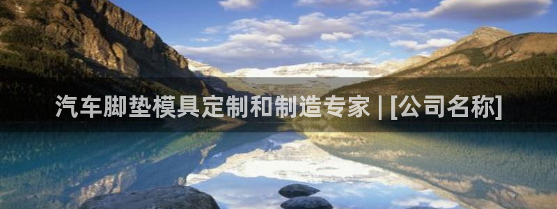 易倍单词平台：汽车脚垫模具定制和制造专家 | [公司名称