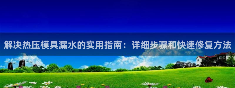 易倍纤怎么使用：解决热压模具漏水的实用指南：详细步骤和快