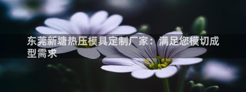 易倍申的价格：东莞新塘热压模具定制厂家：满足您模切成
型