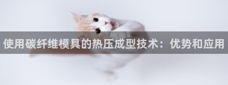 emc全站下载地址：使用碳纤维模具的热压成型技术：优势和