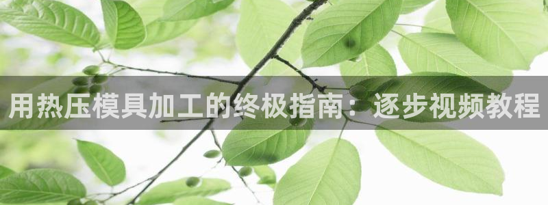 易倍纤谷物粉效果好吗：用热压模具加工的终极指南：逐步视频