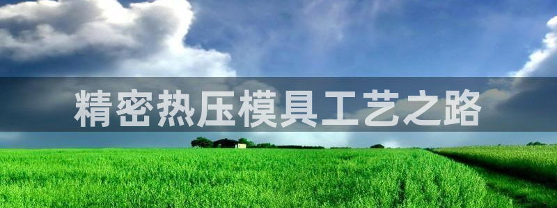 易倍申医保报销：精密热压模具工艺之路
