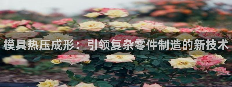 emc app下载：模具热压成形：引领复杂零件制造的新技