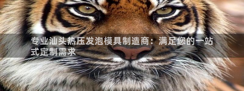 易倍下载地址：专业汕头热压发泡模具制造商：满足您的一站

