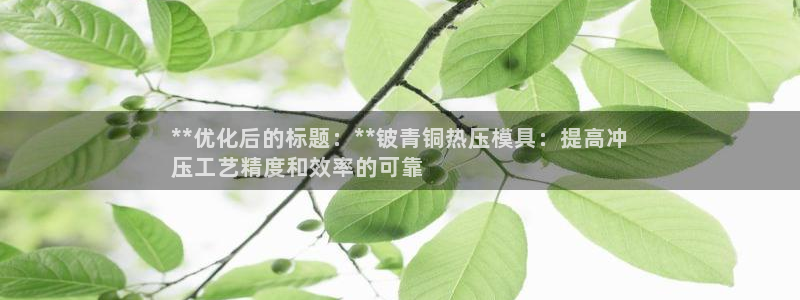 易倍达怎么样：**优化后的标题：**铍青铜热压模具：提高