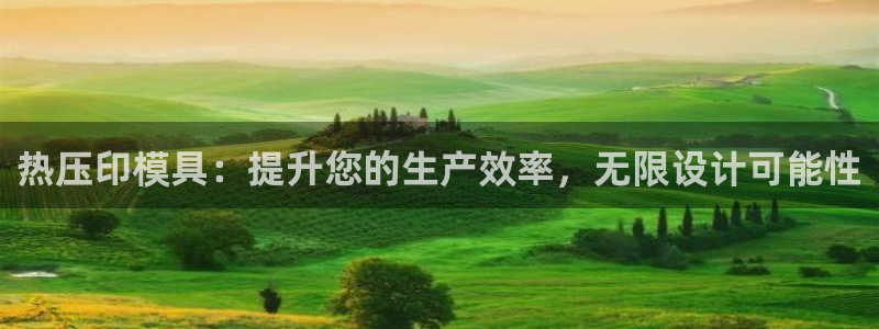 易倍申竞品：热压印模具：提升您的生产效率，无限设计可能性