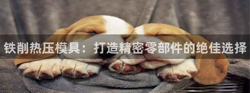 易倍思机电制造(上海)有限公司：铁削热压模具：打造精密零