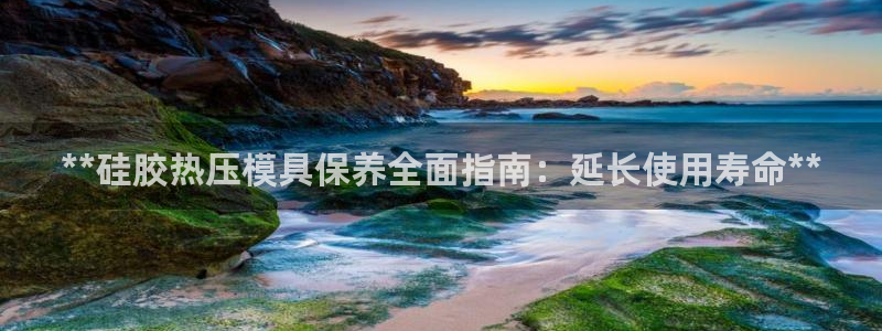 易倍申片说明书：**硅胶热压模具保养全面指南：延长使用寿