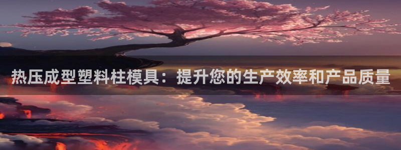 易倍企业管理软件：热压成型塑料柱模具：提升您的生产效率和