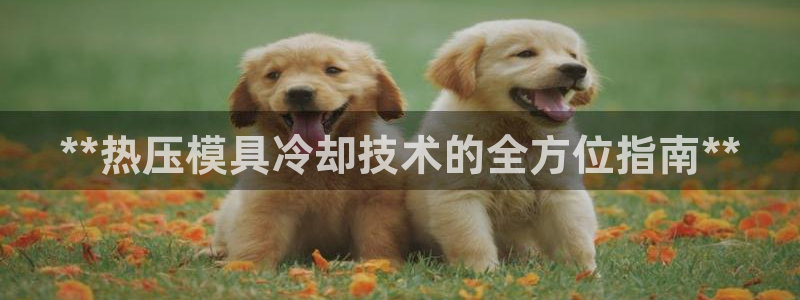 易倍申的包装规格
