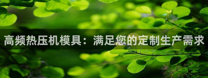 易倍全站下载：高频热压机模具：满足您的定制生产需求
