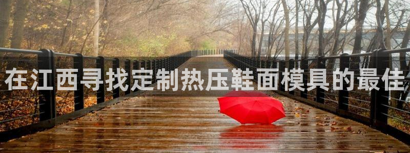 易倍单词app：在江西寻找定制热压鞋面模具的最佳